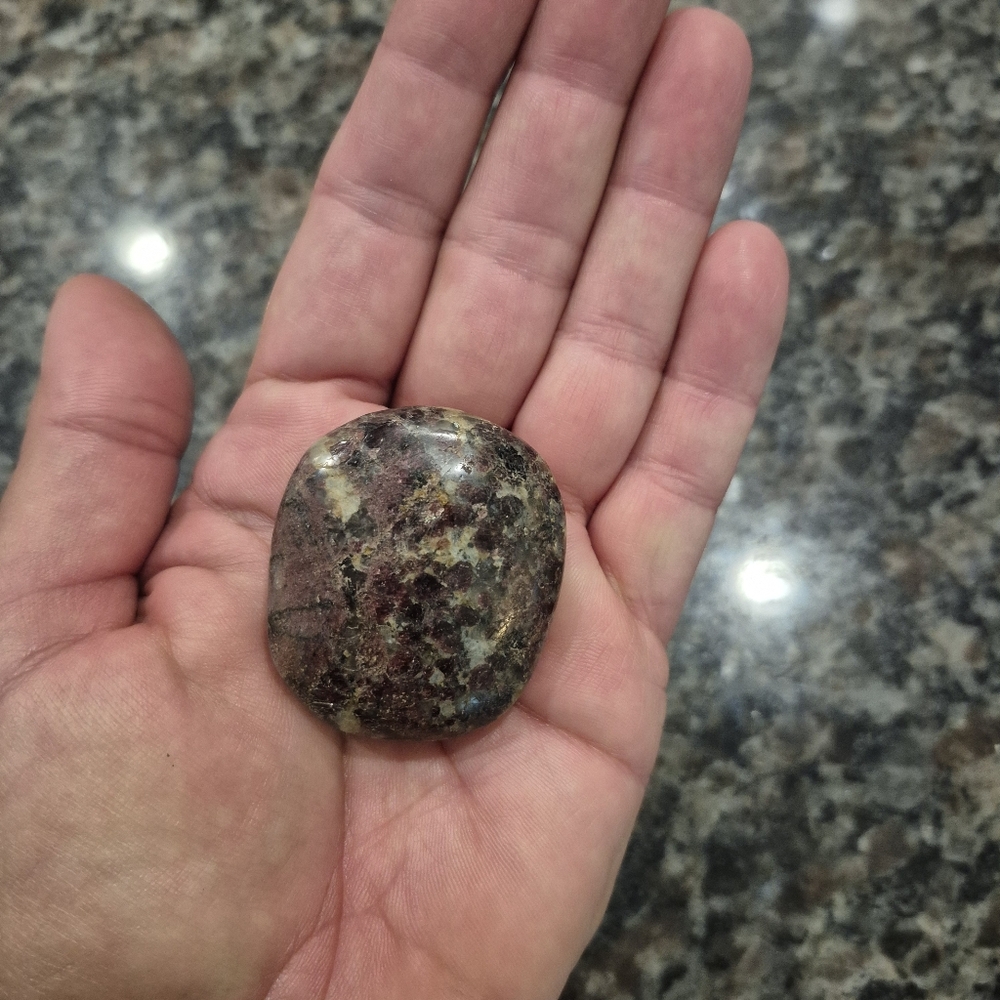 Natural Llanite Jasper Que Serra Palm Stone #5 New - Picture 6 of 6